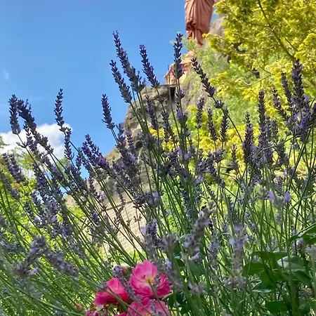 Daire Duplex Sur Les Toits Du Puy