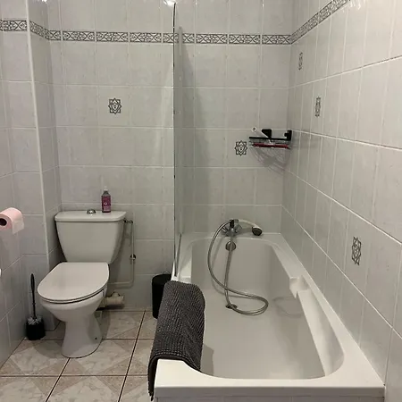 Daire Duplex Sur Les Toits Du Puy